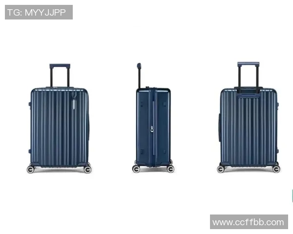 全方位解析箱包行业发展趋势与创新设计，打造功能与时尚并重的高品质旅行体验